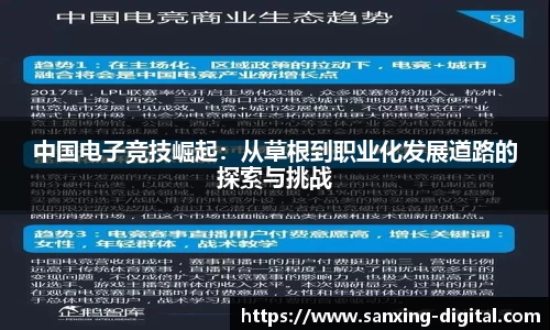 中国电子竞技崛起：从草根到职业化发展道路的探索与挑战