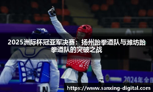2025洲际杯冠亚军决赛：扬州跆拳道队与潍坊跆拳道队的突破之战